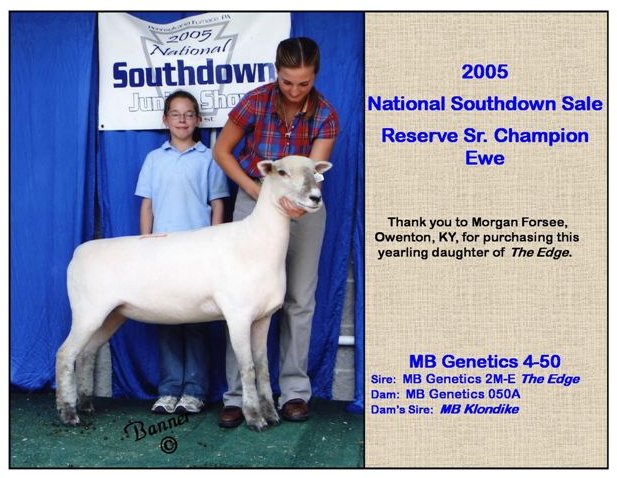 2005 National Sale Res Sr Champ Ewe 4-50
